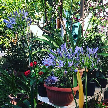 Casa Fornaciari Panzió Viareggio Kültér fotó